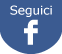 Seguici su Facebook